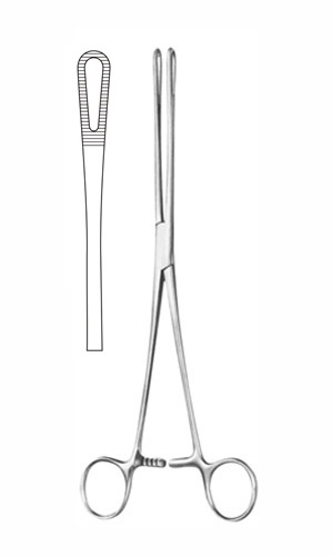 Sponge Forceps